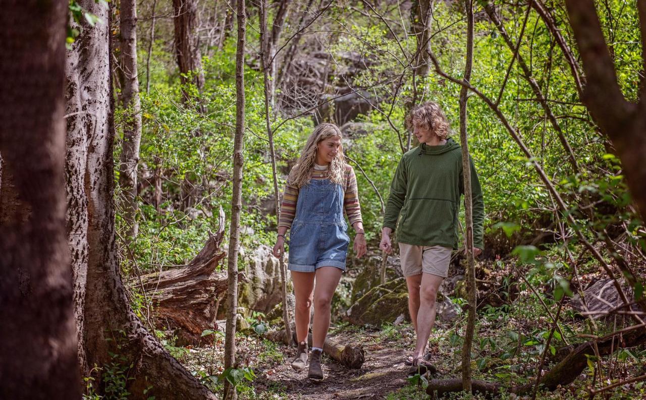 Thomas Cabin Forest Tiny Cabin With Hot Tub Chattanooga Eksteriør bilde